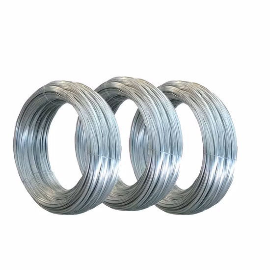 Bwg16/Bwg18/1.0/1.2/1.3/1.4/1.5/1.6/1.65mm fer recuit noir doux fil de liaison en acier métallique de 1kg/1lb par rouleau, 20kg/25kg/rouleau ou carton pour la construction